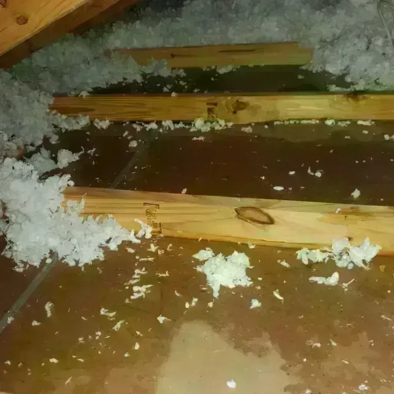 Attic Water Damage in Johnstown, NY